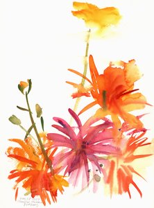 Marigolds and Other Flowers