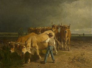 Oxen Plowing