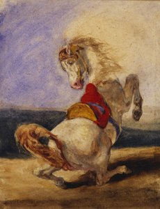 Rearing Horse
