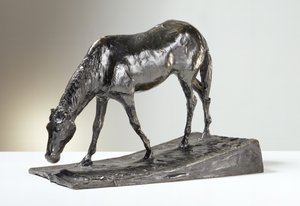 Horse at Trough
