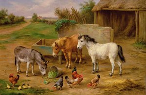 Farmyard Friends