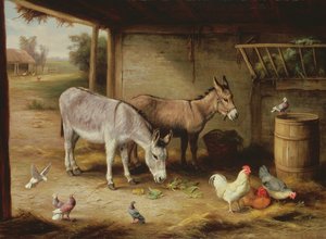 Farmyard Friends