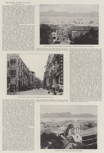The Black Plague in China