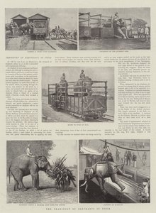 The Transport of Elephants in India