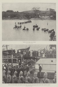 The War in the Transvaal
