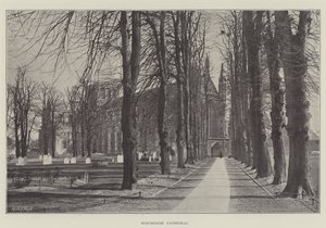 Winchester Cathedral