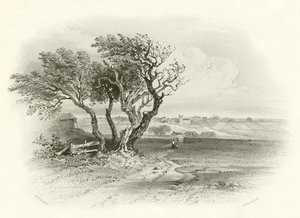 Battle field of Prestonpans