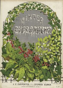 Cover of Winter Evergreens