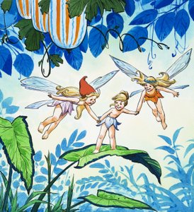 Fairies