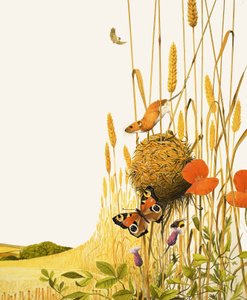 Field Mouse and Butterfly