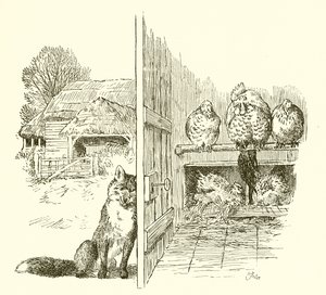 Fox Outside the Hen House
