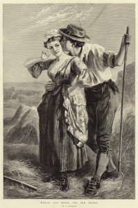 Making Hay While the Sun Shines
