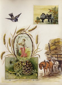 Page from late Victorian scrapbook