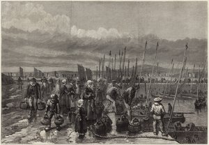 Sardine Fishery on the Coast of Brittany