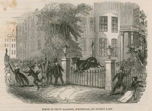 Scene in Privy Gardens
