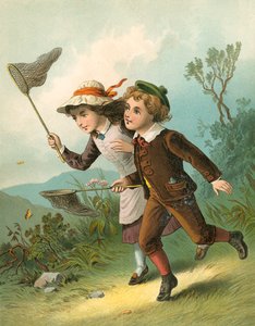 The Butterfly Hunt