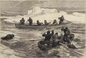 The Pandora Arctic Expedition