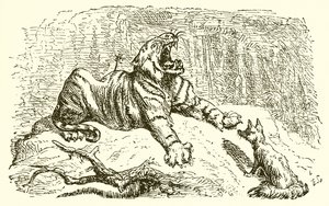 The Fox and the Tiger