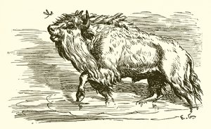 The Gnat and the Bull