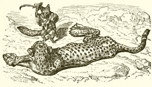 The Leopard and the Fox