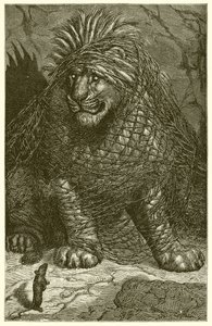 The Lion and the Mouse