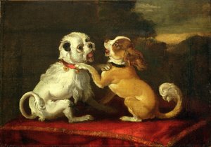 Dogs at Play