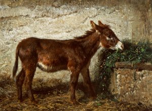 Donkey at Crib