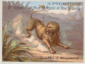 The Lion and the Gnat