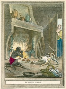 The Monkey and the Cat