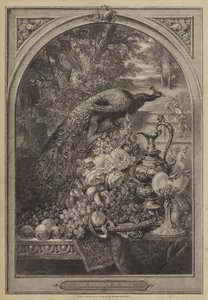 The Peacock at Home
