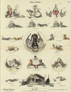 Our Dachshunds