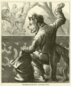 The Monkey and the Nuts