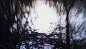 Water tapestry III, 2017