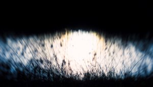 Water tapestry IV, 2017