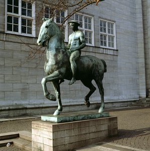 The Rider