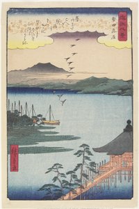 Geese Homing at Katada