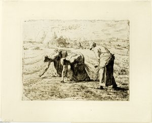 The Gleaners