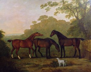 Hunters at Grass