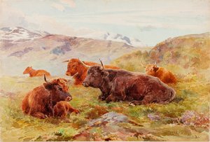 Highland Landscape with Cattle