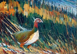 Pheasant 1
