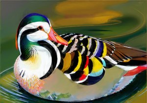 Animals: Mandarin Duck 3