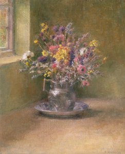 Everlasting Flowers