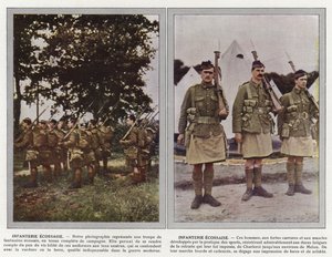 Scottish Infantry