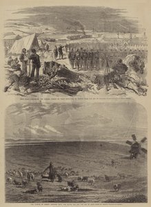 The War in Crimea