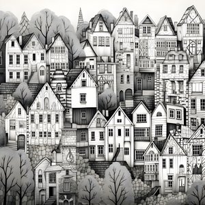 A Black and White Picture of Houses 1