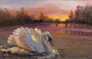 Swan at Sunrise, 2016