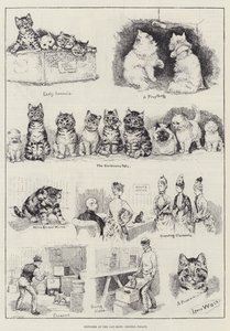 Sketches at the Cat Show, Crystal Palace
