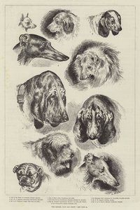The Kennel Club Dog Show