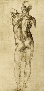 Male Nude