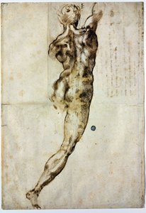 Nude from Behind, c. 1504